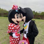 Mickey & Minnie Mouse